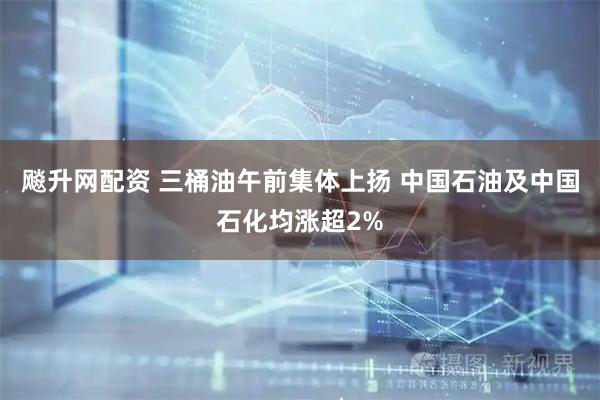 飚升网配资 三桶油午前集体上扬 中国石油及中国石化均涨超2%