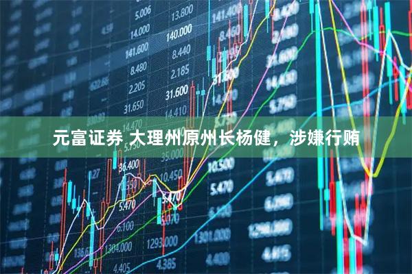 元富证券 大理州原州长杨健，涉嫌行贿