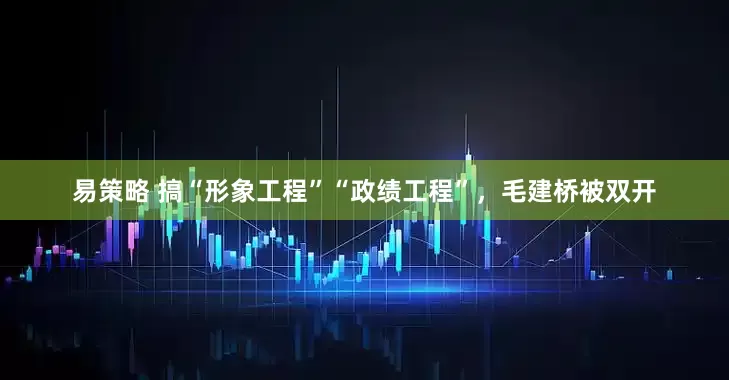易策略 搞“形象工程”“政绩工程”，毛建桥被双开