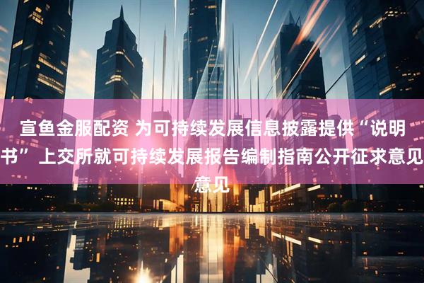 宣鱼金服配资 为可持续发展信息披露提供“说明书” 上交所就可持续发展报告编制指南公开征求意见