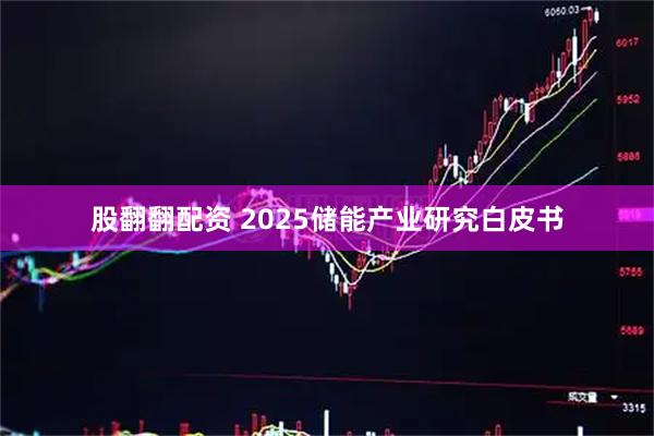 股翻翻配资 2025储能产业研究白皮书