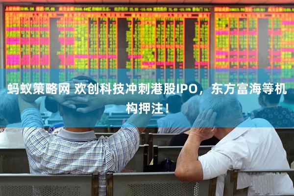 蚂蚁策略网 欢创科技冲刺港股IPO，东方富海等机构押注！