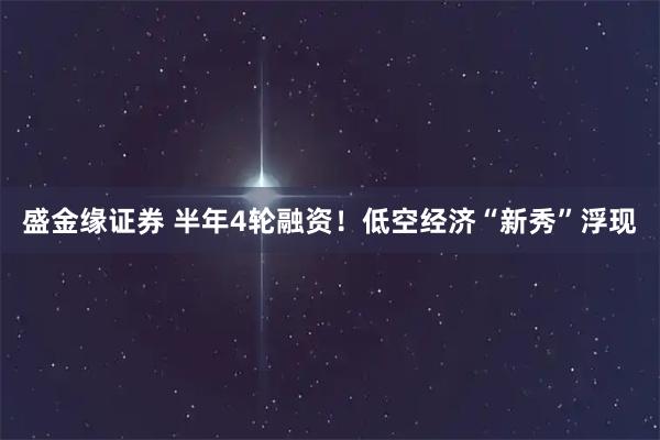 盛金缘证券 半年4轮融资！低空经济“新秀”浮现